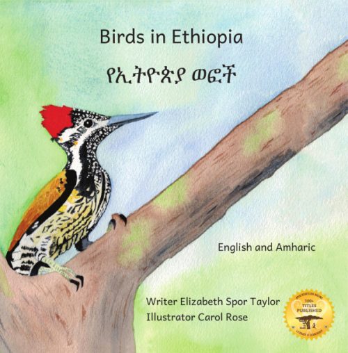 Birds in Ethiopia
